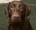 Small #1 Breeder Profile image