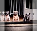 Small #2 Breeder Profile image