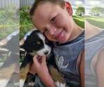 Small #6 Breeder Profile image