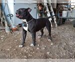 Small #16 Breeder Profile image