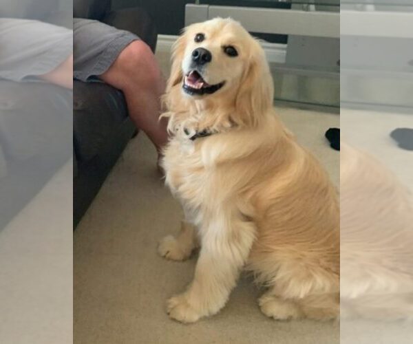 Medium Photo #5  Breeder Profile in Aylmer, Ontario, Canada