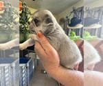 Small #20 Breeder Profile image