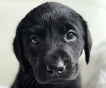 Small #4 Breeder Profile image