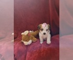 Small #134 Breeder Profile image