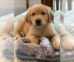 Small #6 Breeder Profile image
