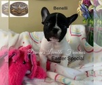 Small #9 Breeder Profile image