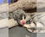 Small #5 Breeder Profile image