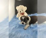 Small #1 Breeder Profile image