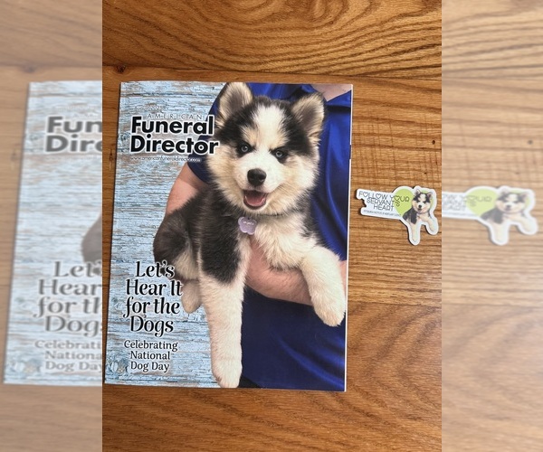 Medium Photo #29  Breeder Profile in VENUS, PA, USA