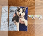 Small #28 Breeder Profile image