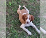 Small #4 Breeder Profile image