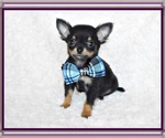 Small #6 Breeder Profile image