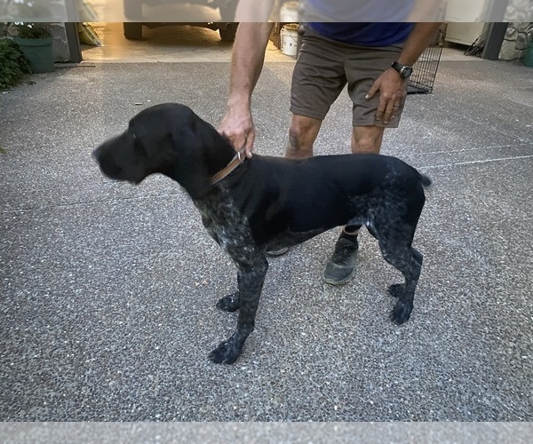 Medium Photo #6  Breeder Profile in BOONVILLE, IN, USA