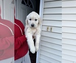 Small #2 Breeder Profile image