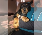 Small #48 Breeder Profile image