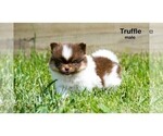 Small #4 Breeder Profile image