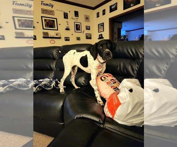 Medium Photo #1  Breeder Profile in MULLINS, SC, USA
