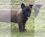 Small #12 Breeder Profile image
