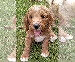 Small #1 Breeder Profile image