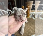 Small #10 Breeder Profile image