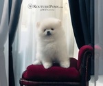 Small #20 Breeder Profile image