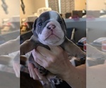 Small #5 Breeder Profile image