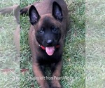 Small #6 Breeder Profile image