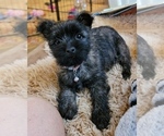 Small #7 Breeder Profile image