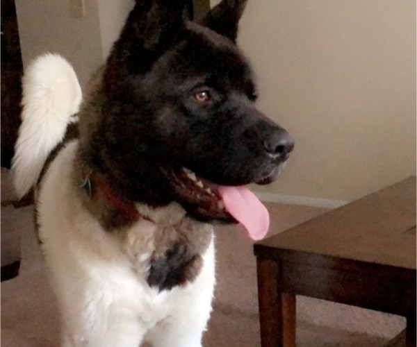 Medium Photo #1  Breeder Profile in LOUISVILLE, KY, USA
