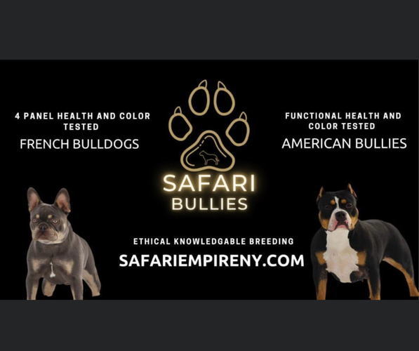 Medium Photo #1  Breeder Profile in TONAWANDA, NY, USA