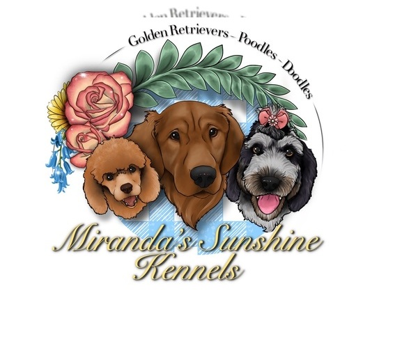 Medium Photo #1  Breeder Profile in HAMMOND, IN, USA