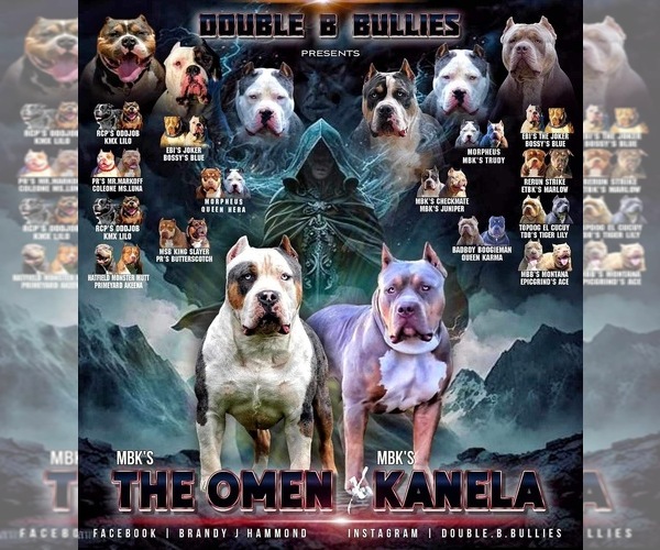 Medium Photo #1  Breeder Profile in EUFAULA, AL, USA