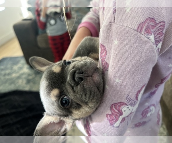 Medium Photo #1  Breeder Profile in BLOOMINGTON, UT, USA