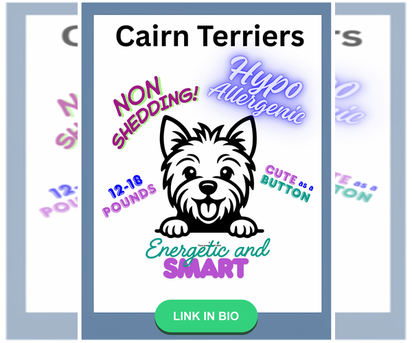 Medium Photo #3  Breeder Profile in FORNEY, TX, USA