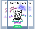 Small #2 Breeder Profile image