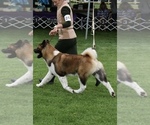 Small #2 Breeder Profile image