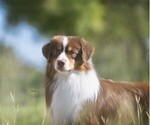 Small #5 Breeder Profile image