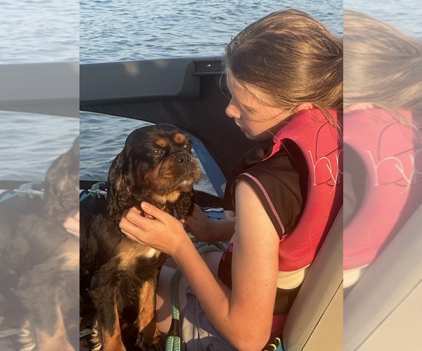 Medium Photo #45  Breeder Profile in WAXAHACHIE, TX, USA