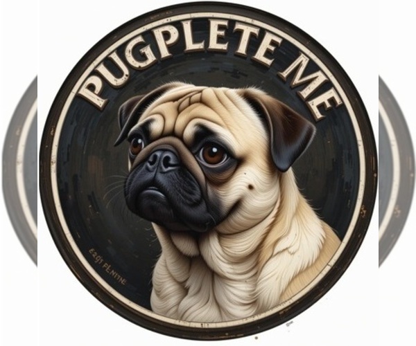 Medium Photo #1  Breeder Profile in AURORA, CO, USA