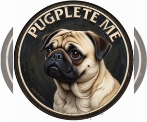 Medium Breeder Profile Photo