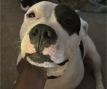Small #4 Breeder Profile image