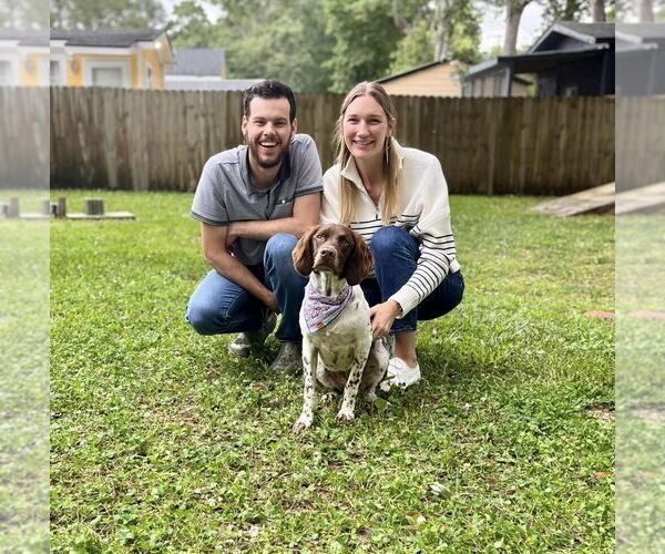 Medium Photo #66  Breeder Profile in HORTENSE, GA, USA
