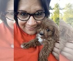 Small #5 Breeder Profile image