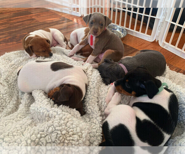 Medium Photo #1  Breeder Profile in MOLALLA, OR, USA