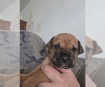 Small #15 Breeder Profile image