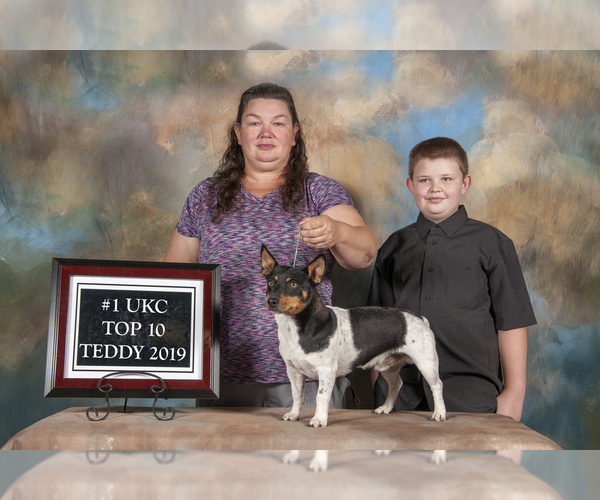 Medium Photo #1  Breeder Profile in RUSSELLVILLE, KY, USA