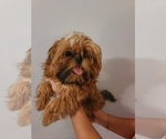 Small #13 Breeder Profile image