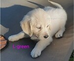Small #9 Breeder Profile image