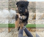 Small #126 Breeder Profile image