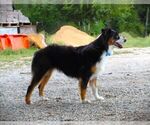 Small #6 Breeder Profile image